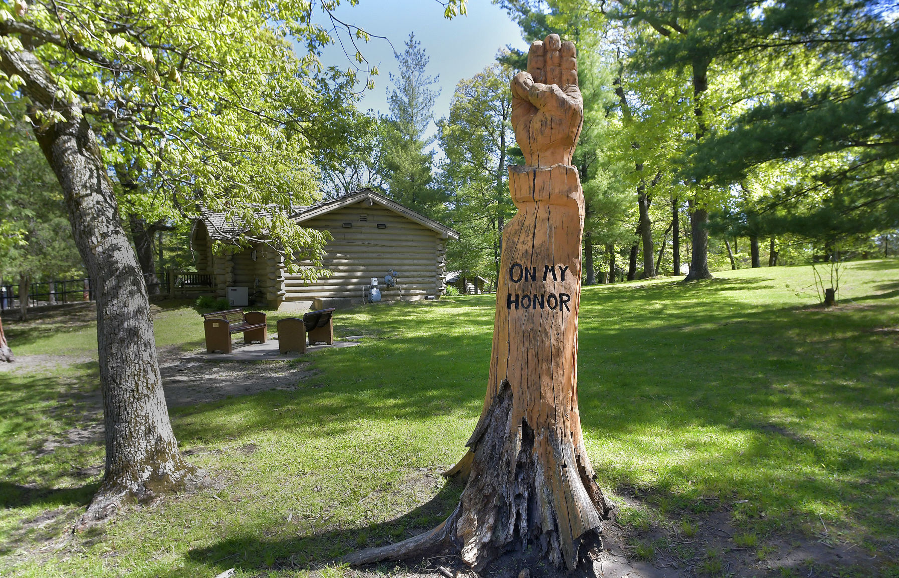 Carved tree